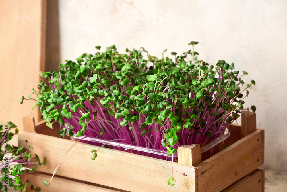 Wooden box with fresh micro green on light background, closeup