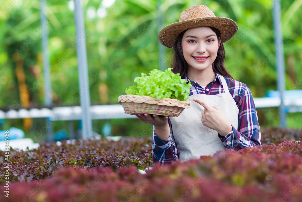 Asian pretty farmer works on a hydroponics vegetable farm.