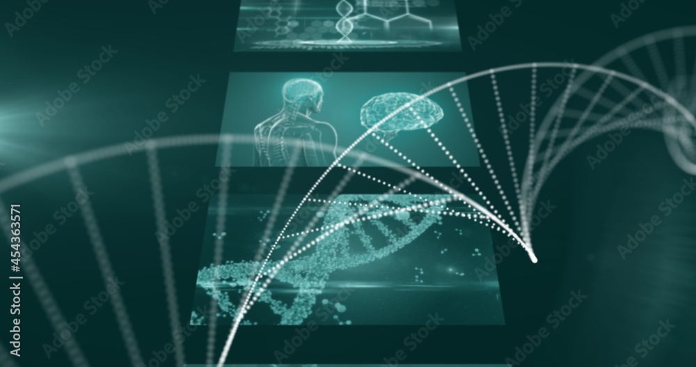 dna旋转图像和医学数据处理屏幕