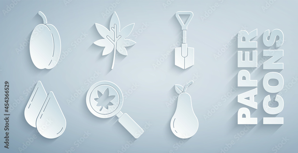 Set Magnifying glass with leaf, Shovel, Water drop, Pear, Leaf or leaves and Plum fruit icon. Vector