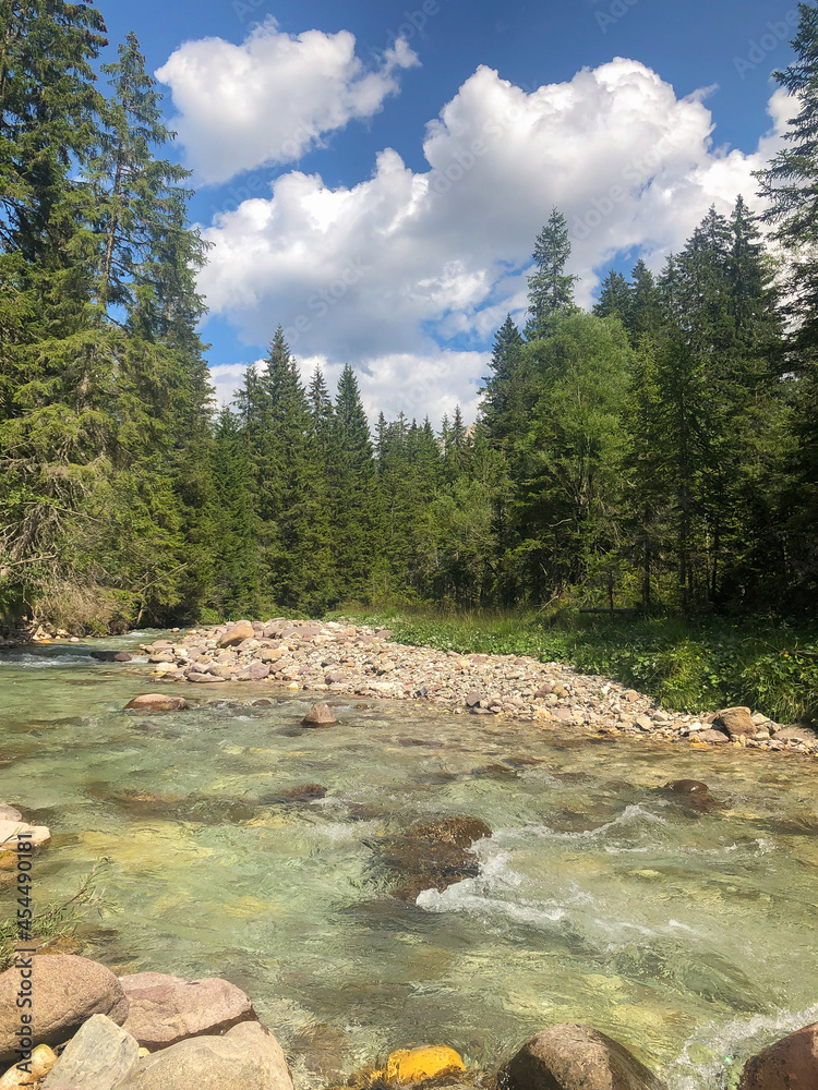 Trentino Alto Adige Val Venegia Travignolo小河全景