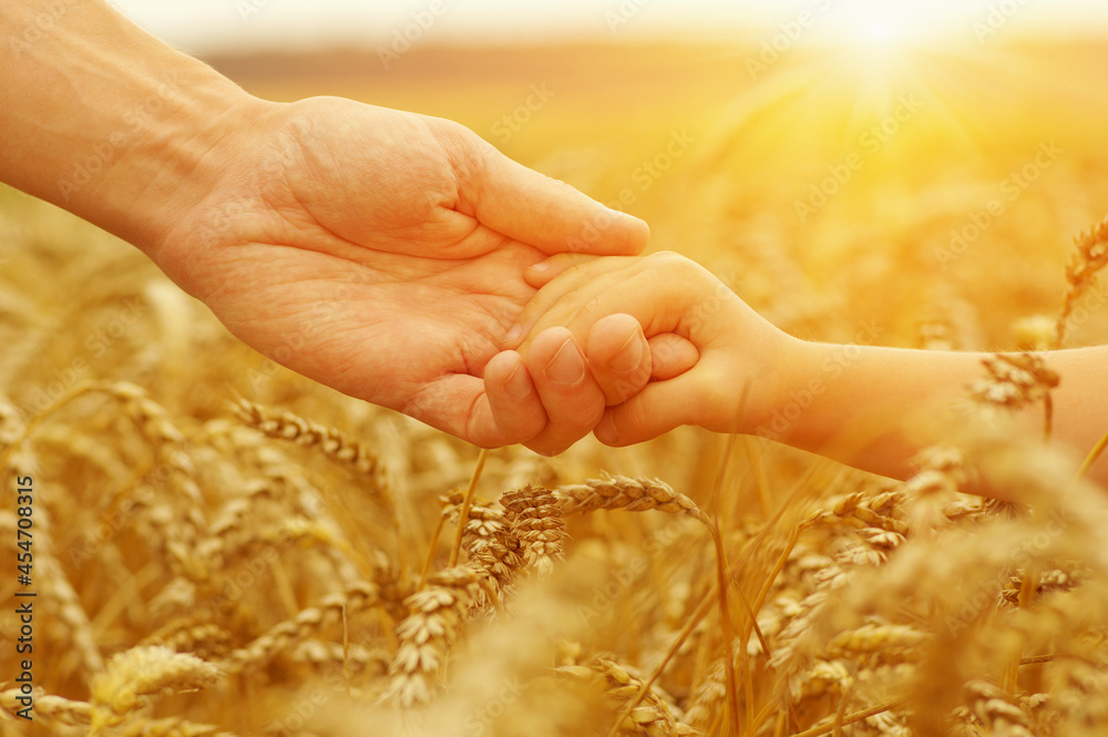 Hands of father and daughter on sun