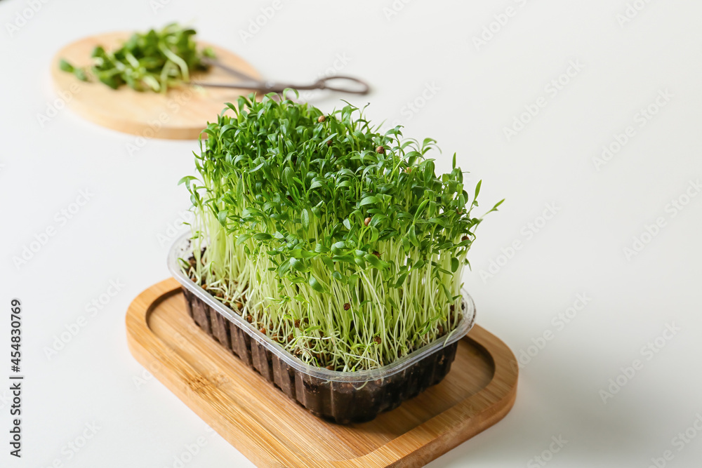 Plastic container with fresh micro green on white background