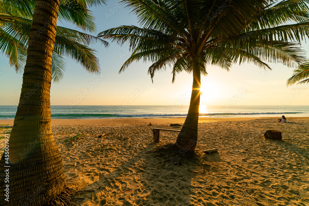 Beach autumn vacations concept background Nature frame with coconut palm trees on the beach with sun