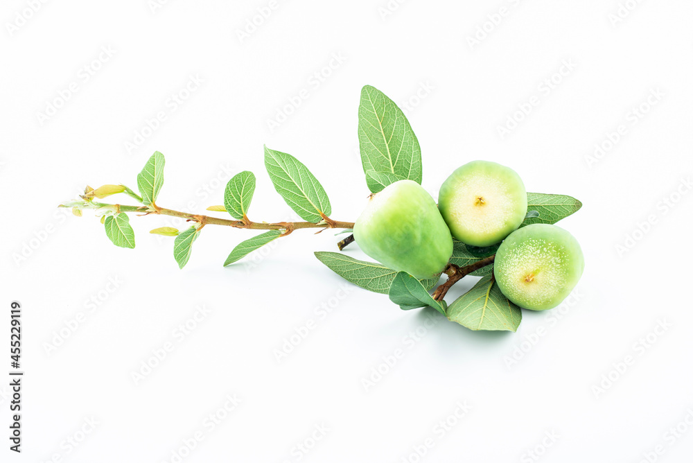 Jelly fruit on white background