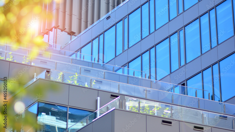 Eco architecture. Green tree and glass office building. The harmony of nature and modernity. Reflect