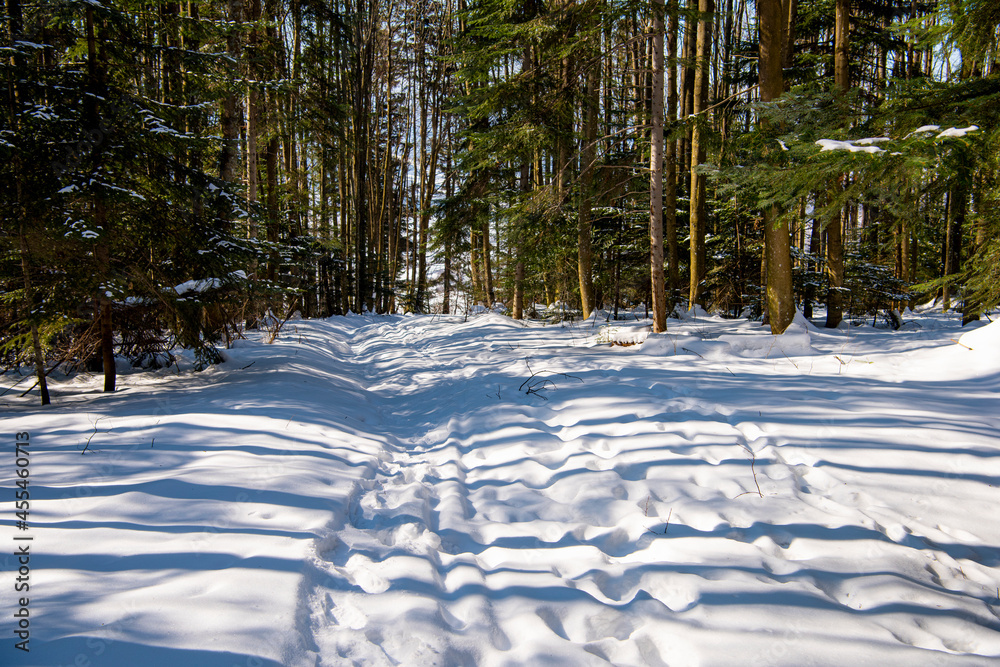 Footsteps on the snow