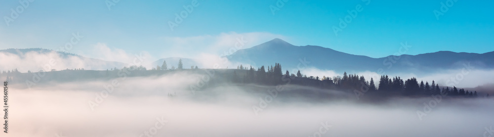 蓝天下的高山全景。美妙的晨曦中的雾蒙蒙的森林。喀尔巴阡山，