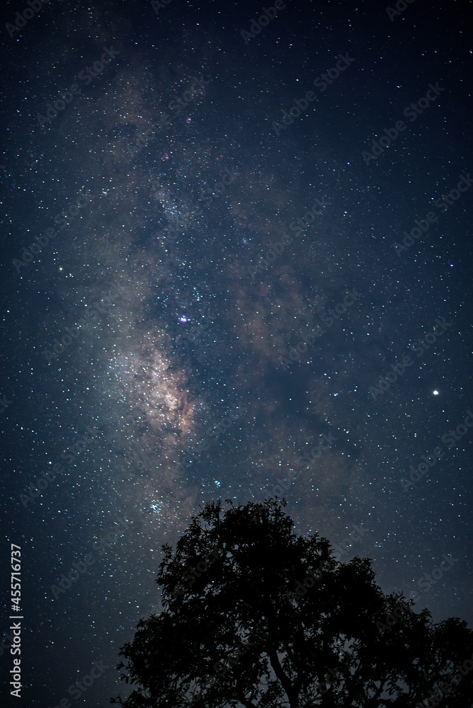 星空中的垂直银河，月亮在剪影大树后面