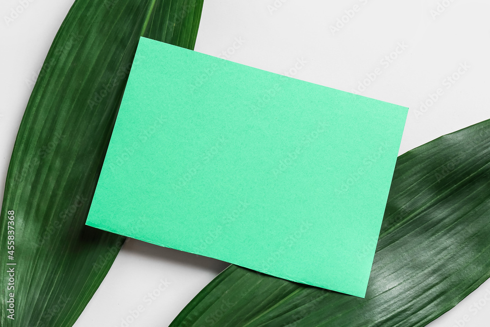 Blank card and green leaves on white background, closeup