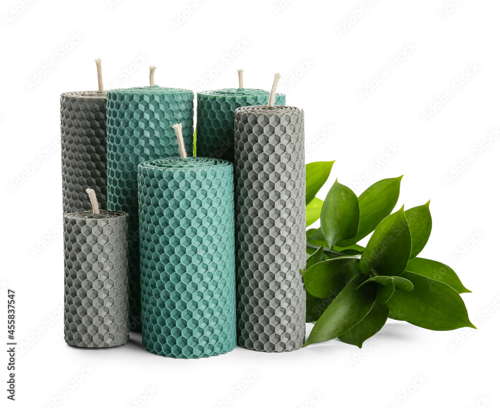 Different wax candles and branch on white background