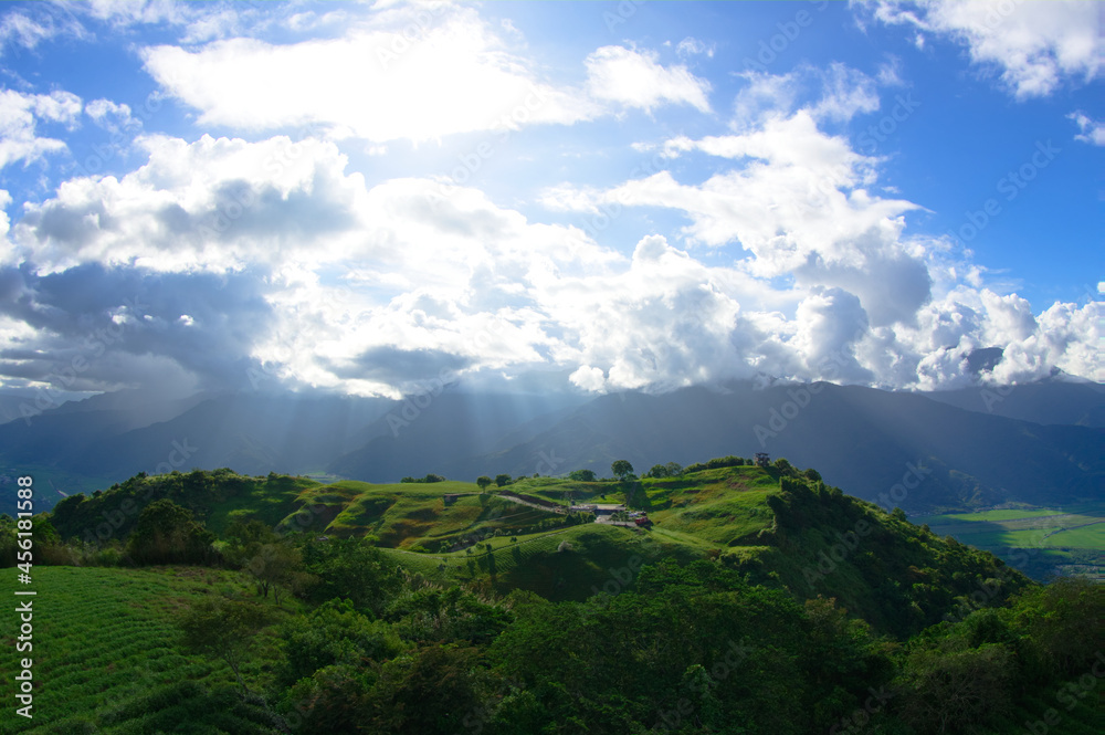 Tea fields on the hill. Sunlight fell from the gap in the clouds to the ground.