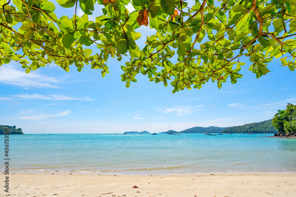 树叶与夏日海滩交织在一起令人惊叹的大海清澈的蓝天和白云海浪拍打着沙滩