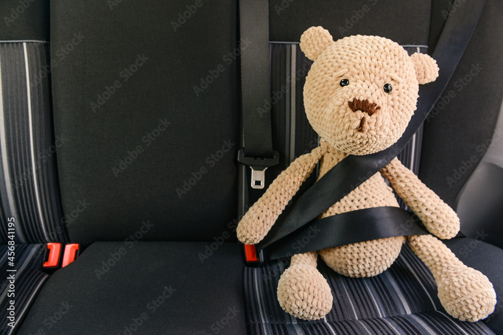 Fastened toy teddy bear sitting in car