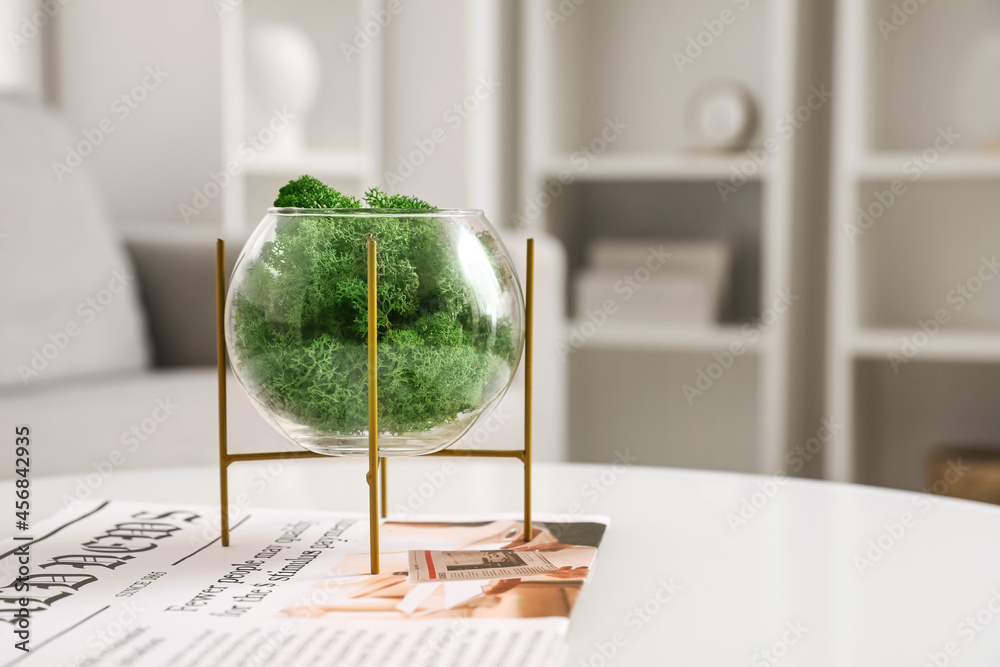 Glass container with decorative green moss and newspaper on table in room