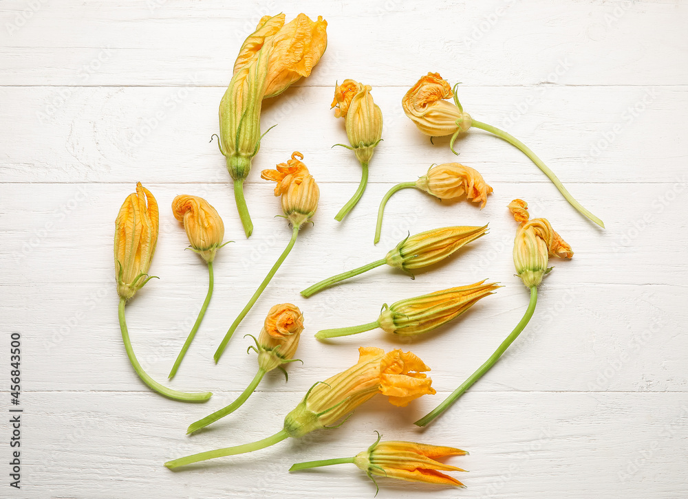 Flowers of zucchini on light wooden background