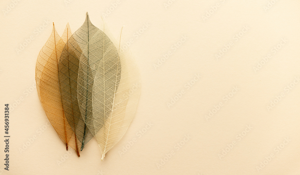 Artificial autumn leaves, closeup, flat lay, horizontal composition