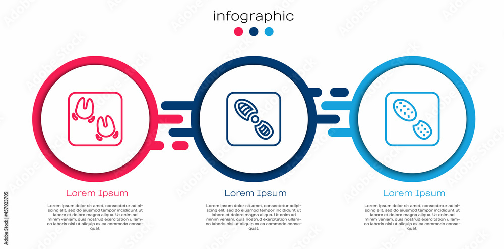 设定野猪爪足迹、人类足迹鞋和。商业信息图模板。矢量
