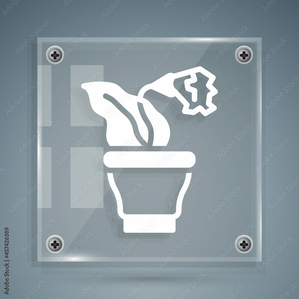 White Flower in pot icon isolated on grey background. Plant growing in a pot. Potted plant sign. Squ