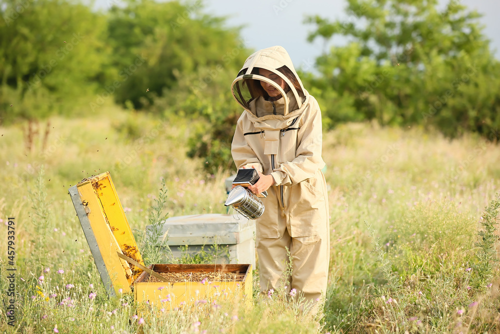 Female beekeeper with smoker at apiary