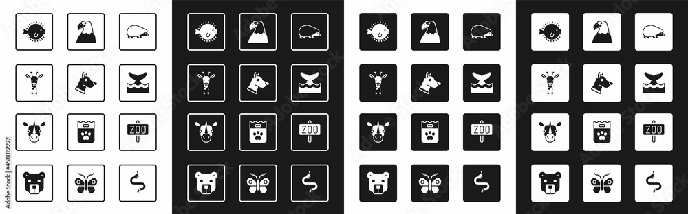 Set Hedgehog, Dog head, Giraffe, Puffer fish, Whale tail in ocean wave, Eagle, Zoo park and Rhinocer