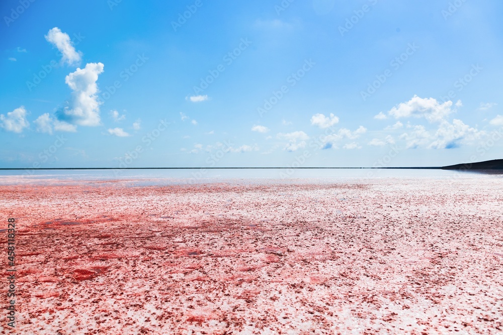 美丽的红色泻湖或盐湖，粉红色的海水富含矿物质