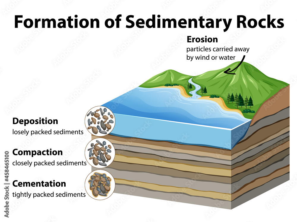 Formation of sedimentary rocks