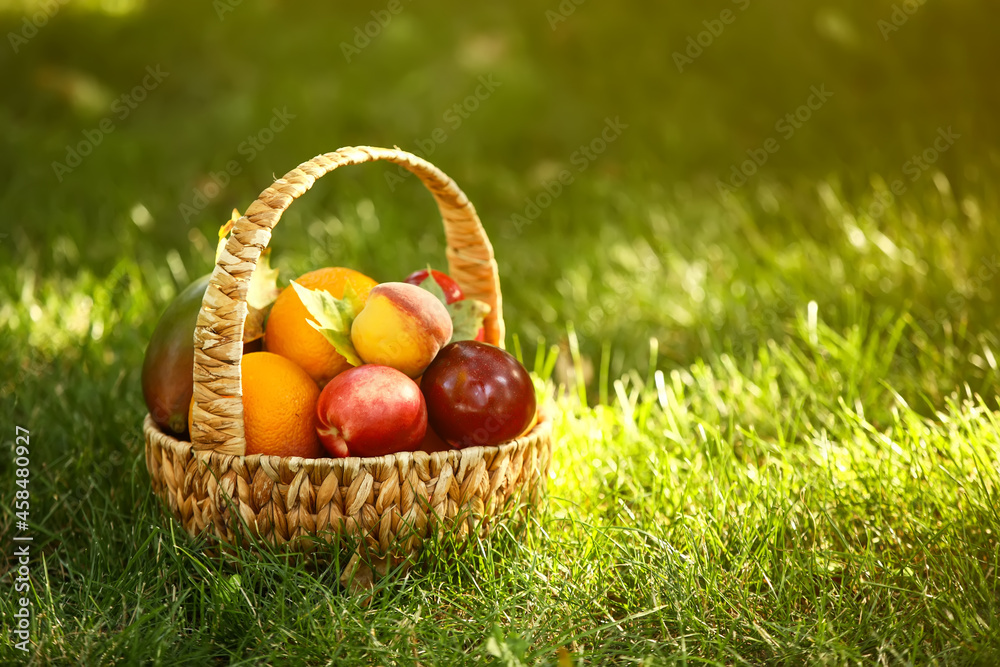 Wicker basket with fresh fruits on grass