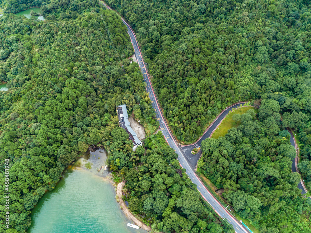 森林中蜿蜒山路鸟瞰图