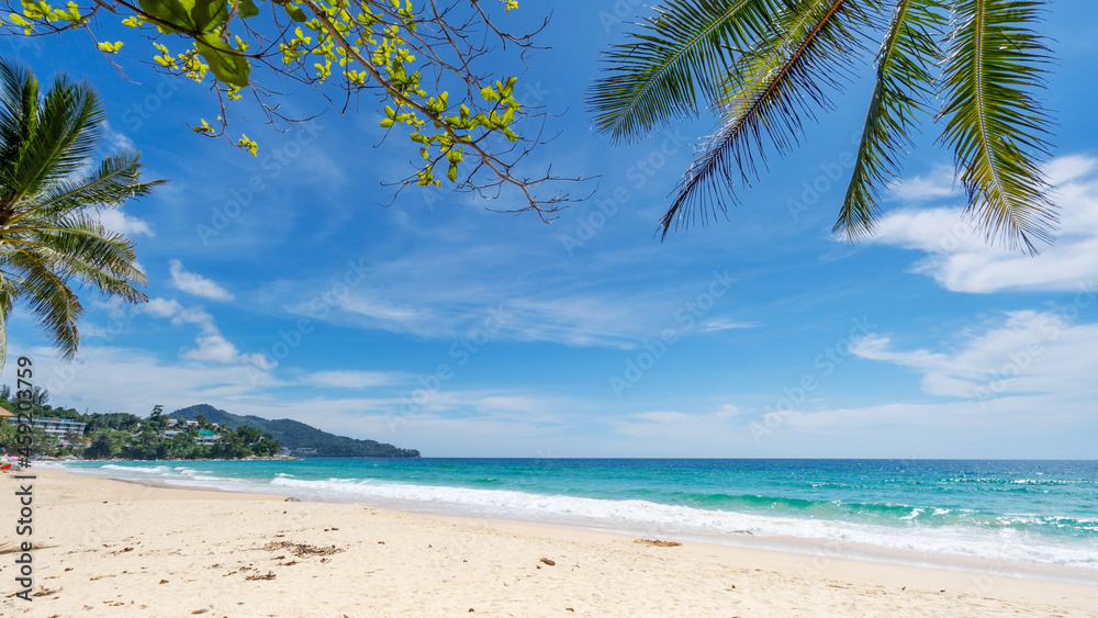 棕榈和热带海滩美丽的夏日背景