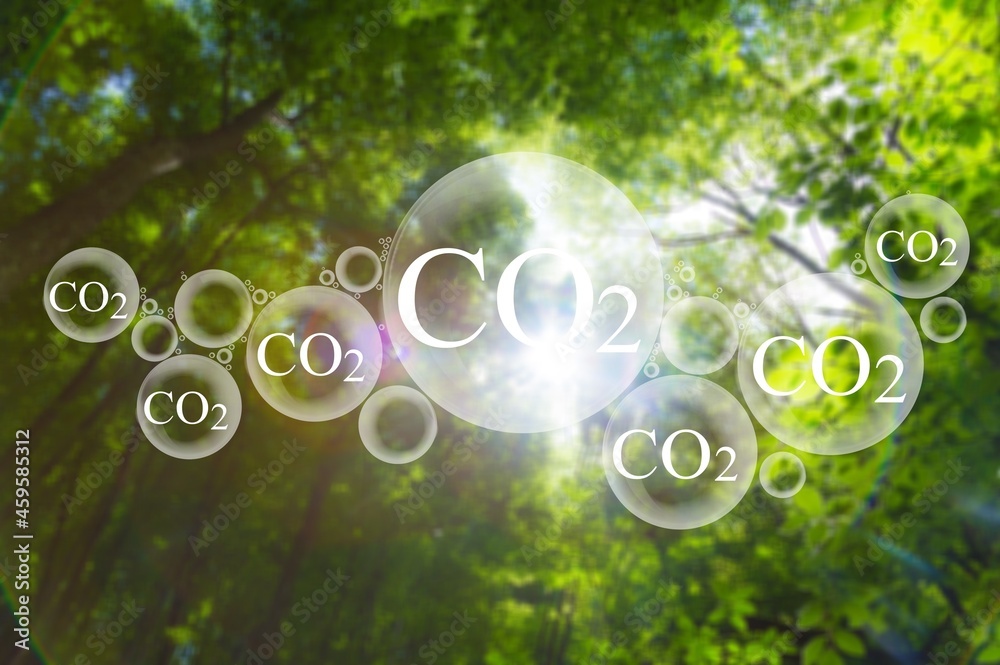 Tree canopy against a sky background with oxygen O2 and carbon dioxide CO2 molecules, release concep