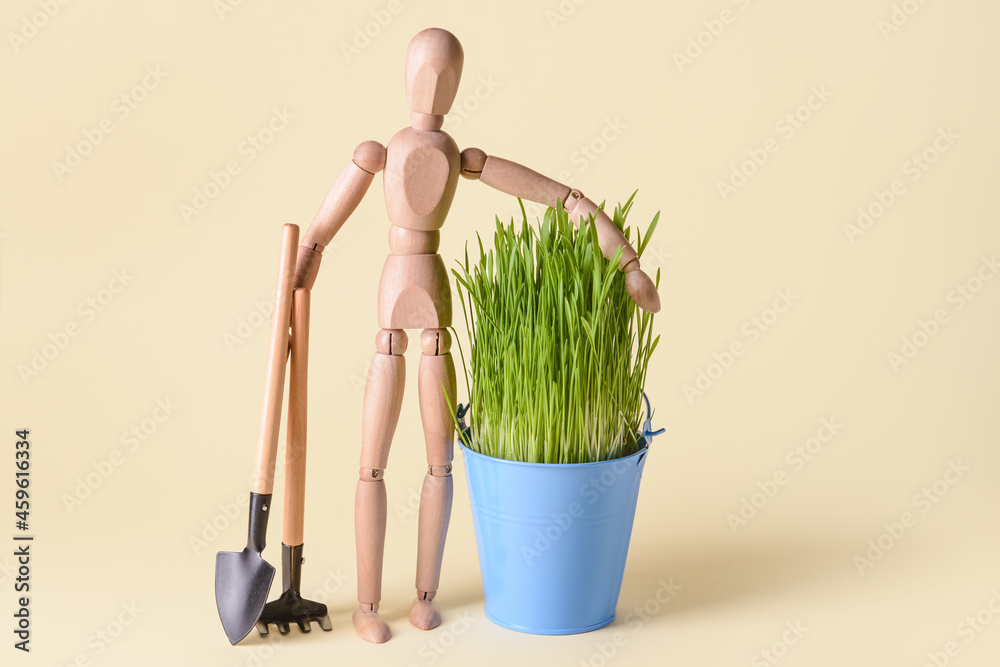 Bucket with grass, wooden mannequin and gardening tools on color background