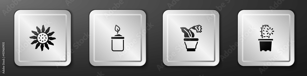 Set Flower, Sprout in bottle, pot and Cactus peyote icon. Silver square button. Vector