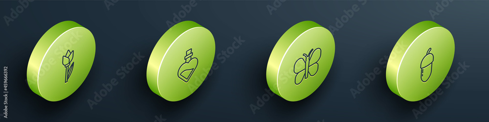 Set Isometric line Flower tulip, Bottle with love potion, Butterfly and Acorn icon. Vector