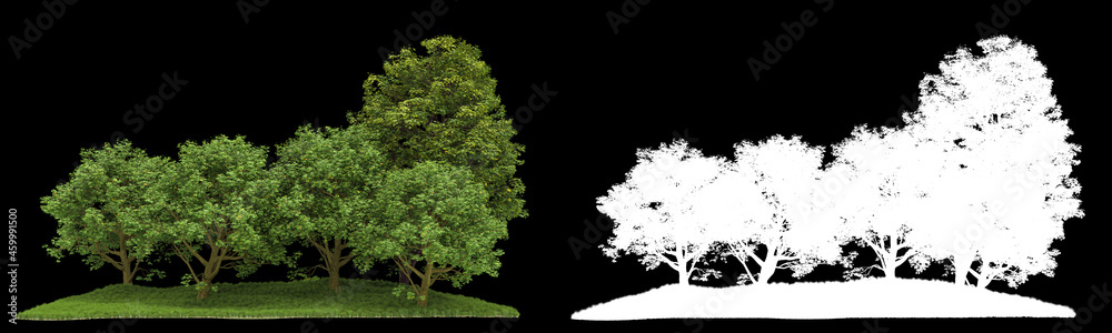 Forest isolated on background with mask. 3d rendering - illustration