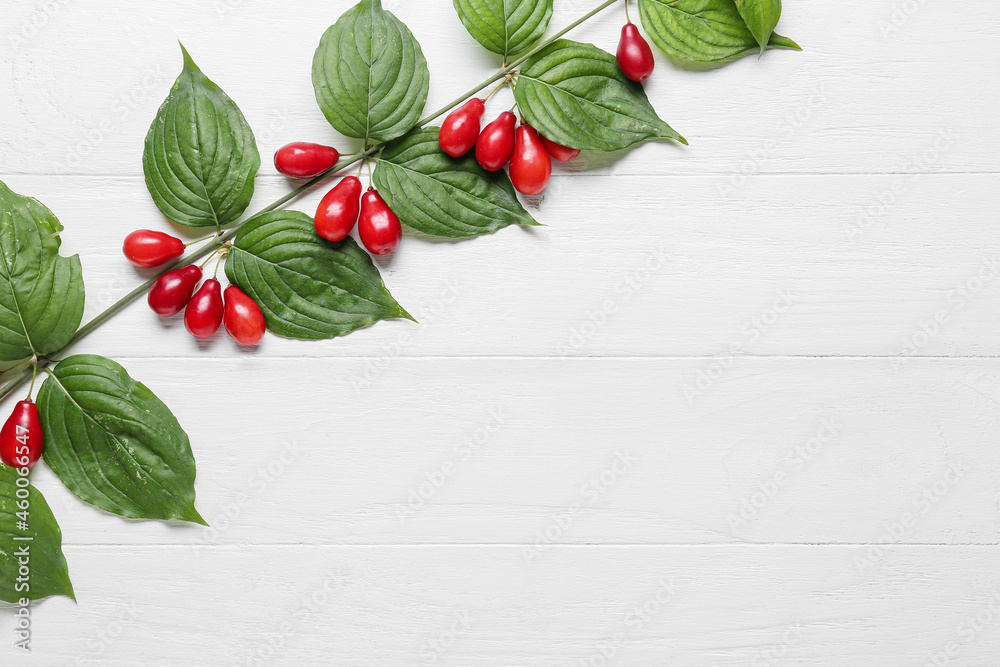 Branch with ripe dogwood berries on white wooden background