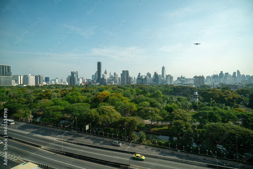 Public park and high-rise buildings cityscape in metropolis city center . Green environment city and