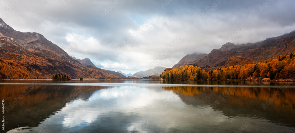 瑞士阿尔卑斯山脉中的锡尔湖（锡尔塞湖）全景。橙色落叶松的彩色森林。