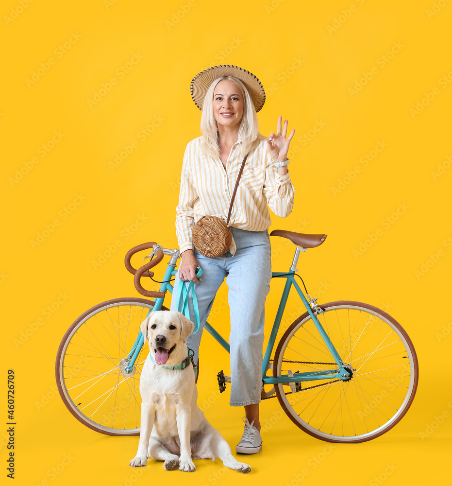 Mature woman with cute Labrador dog and bicycle showing OK on yellow background