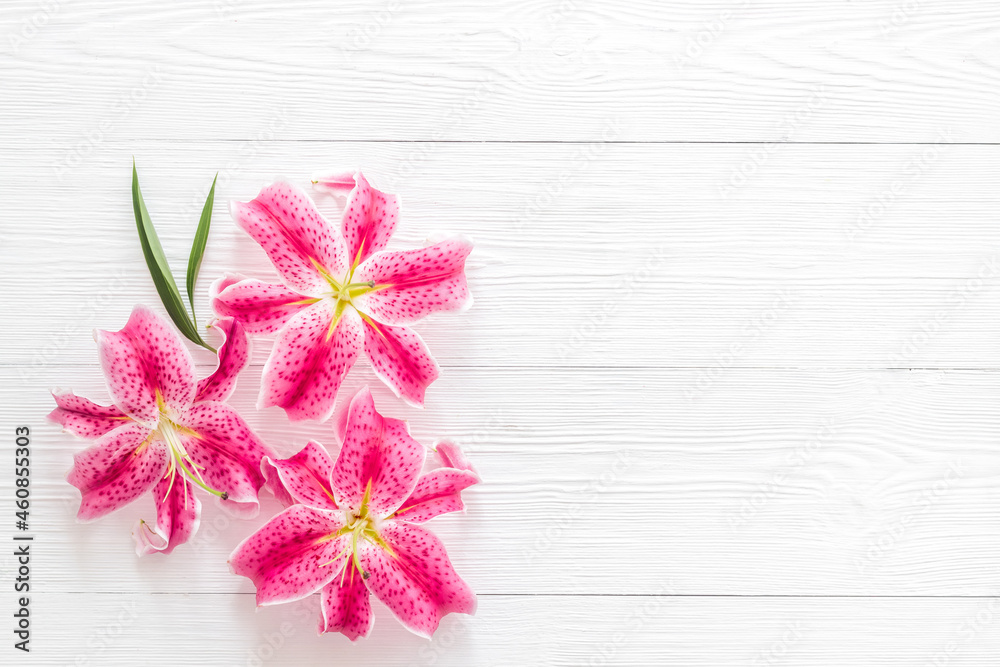 Top view of pink lilies flowers, floral pattern background