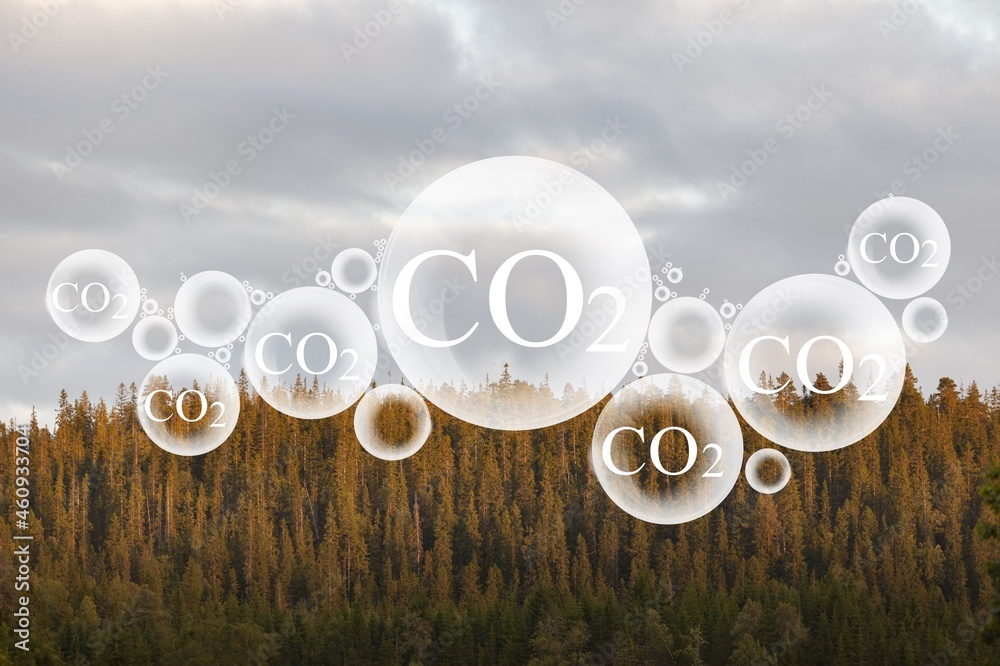 在氧气O2和二氧化碳CO2分子的天空背景下，树冠释放概念