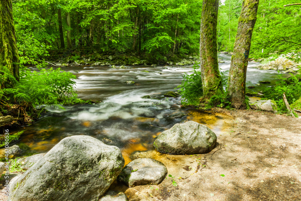 Wanderweg an einem Fluss im Herbst