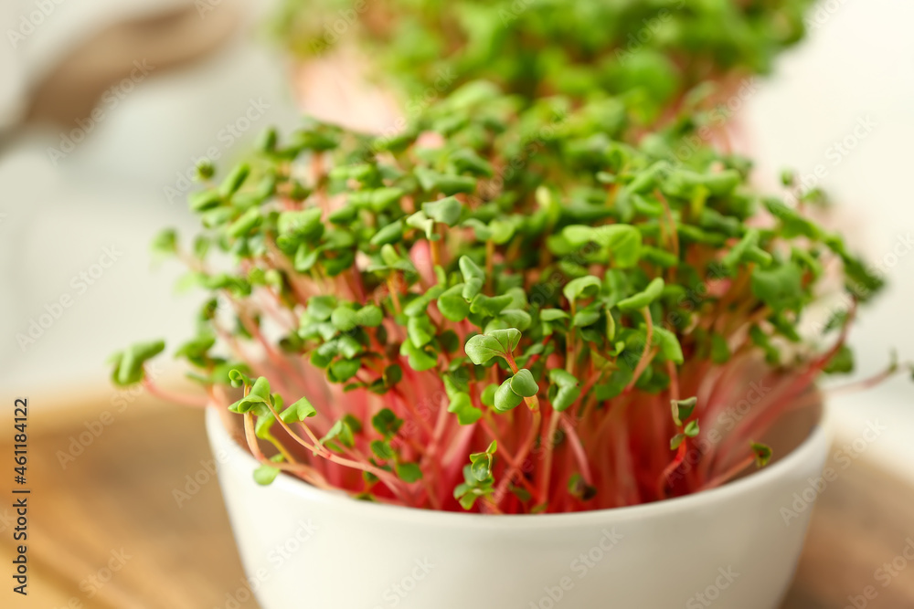 Bowl with fresh organic microgreen, closeup