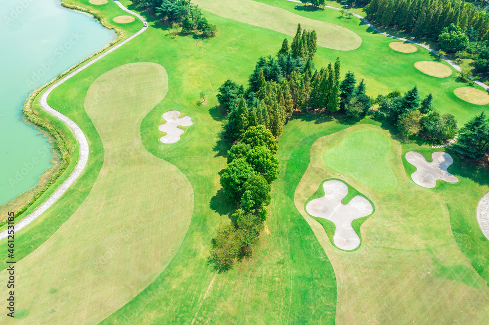 Aerial view of green lawn and forest on golf course.