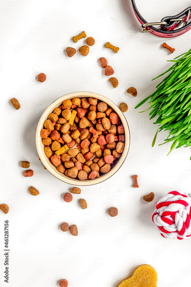 dry dog food in bowl on white background top view