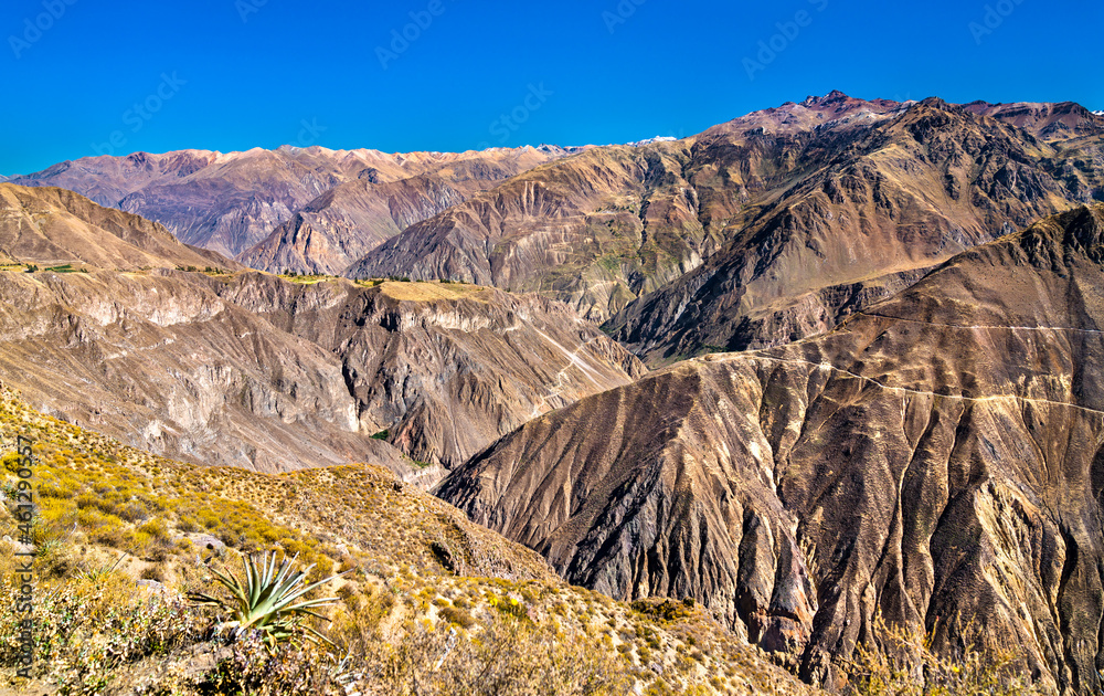 秘鲁科尔卡峡谷风光