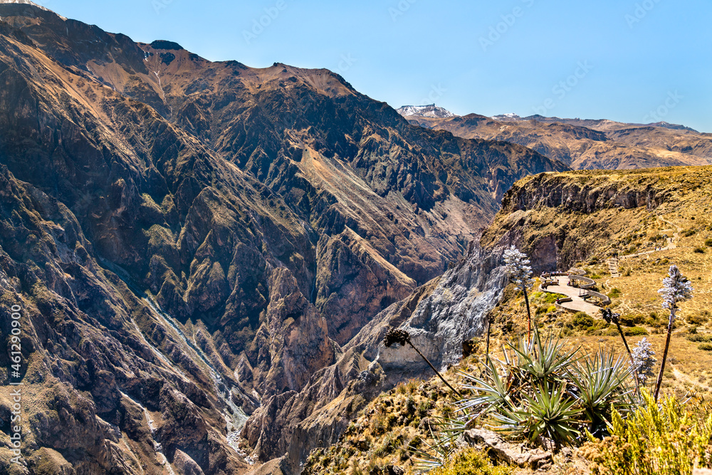 秘鲁科尔卡峡谷风光