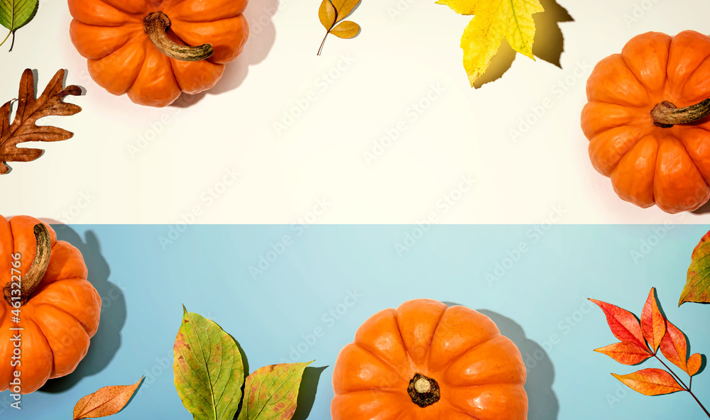 Autumn pumpkins with colorful leaves overhead view - flat lay