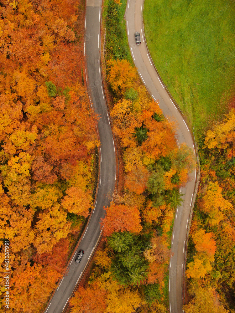 VERTICAL: Drone shot of cars driving around vivid autumn colored countryside