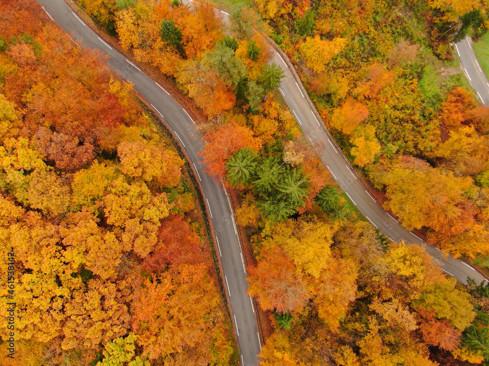 TOP DOWN: Flying above a empty scenic switchback forest road on sunny fall day.